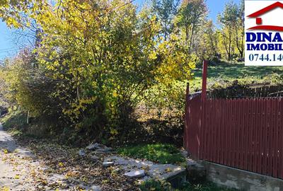 3600 mp teren intravilan, sat Bistrita, 12 Euro/mp - 6