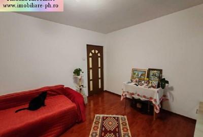 Apartament 2 camere de vanzare : Vest-(Zarandului), semimobilat - 2