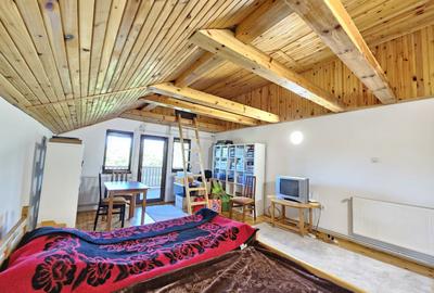 Vila superba de vanzare in Vintila Voda, Buzau D+P+1 si anexe - 30