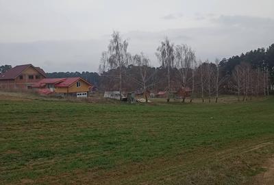 De vânzare terenuri intravilane în Reci - 7