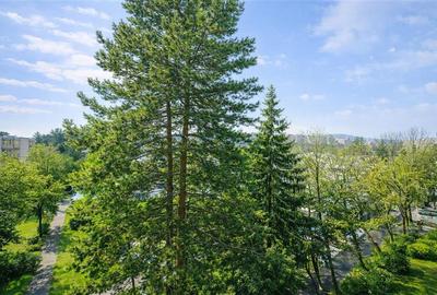 Apartament cu potential,areal verde, panorama,terasa,zona A,Tudor,Targu Mures - 25