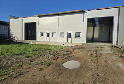 Spatiu Industrial - Gilau - Constructie Noua - 12