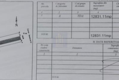 Teren de Vanzare  Caciulati Ilfov - 4