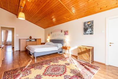 Vanzare Vila 7 camere zona Brancoveanu Strada Lastarului/Colnicului - 28