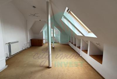 Vila in stil arhitectural german adiacent Calea Mosilor - 20