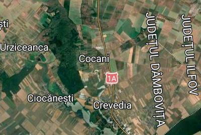Vanzare 5000 mp teren  Butimanu-Lucianca (aproape de Bucuresti) plata în rate - 8