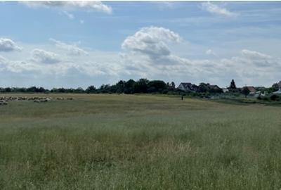 Teren intravilan - 9