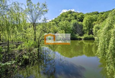 Oportunitate, Restaurant cu MiniPensiune 800mp, 1,8ha teren, Via Transilvanica - 58