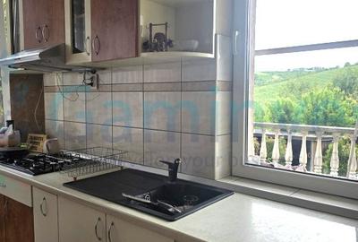 Casa de inchiriat cu 5 dormitoare in zona Gheorghe Doja - 8