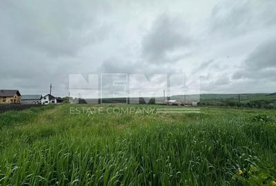 Teren Intravilan de Vanzare | Moara Carp, Suceava | Pret: 95.000€ - 3