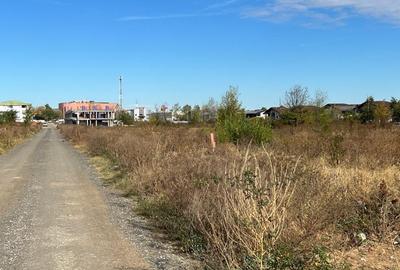 Pantelimon -Lebada, str. Băile Felix, teren intravilan 7500 mp - 1