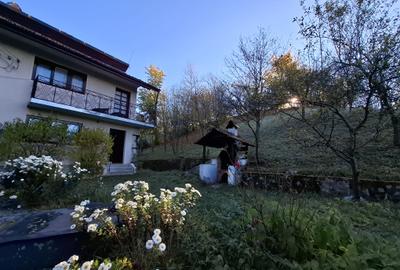 Vila Bughea de Jos - Campulung - 22