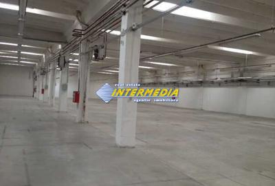 Hala de inchiriat in Alba Iulia in suprafata de 2800 mp cu toate utilitatile - 6