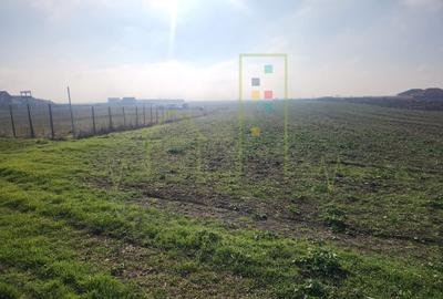 Teren agricol in intravilanul comunei Sacalaz. - 4