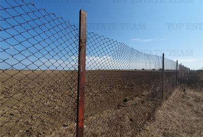 Teren intravilan agricol si teren curti constructii Lot 2 Parcela A326/49 - 8