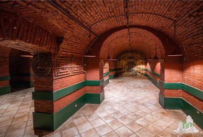 Proprietate Piata Unirii - teren  1000mp +  2 constructii - 9