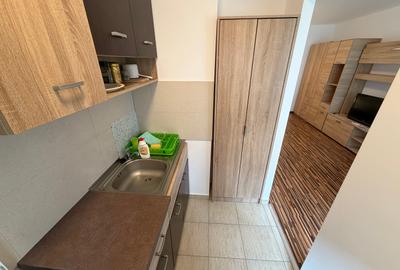 Garsoniera Titan Prima Inchiriere 32 Mp Bloc Reabilitat 6 Min Metrou 11 Min IOR - 10