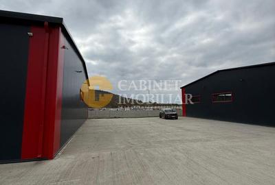 Hala industriala, 580 mp, Parc Industrial Valea Lupului - 2