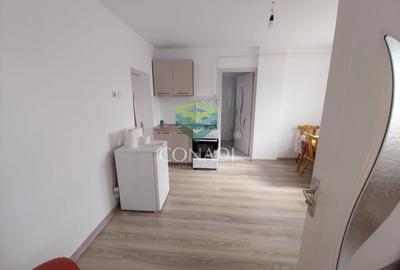 Vila P+1E+M - direct proprietar - 22