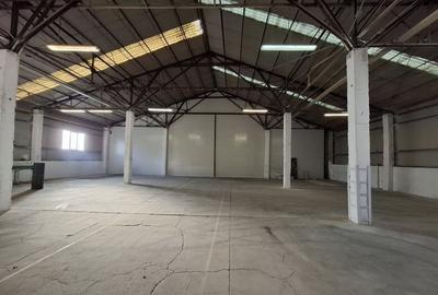 Hale renovate Calea Baciului / 2 x 530 mp / 3 x 400 mp - 7
