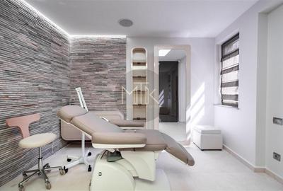 Proprietate premium cu curte – ideala pentru business-uri | LACUL TEI - 23