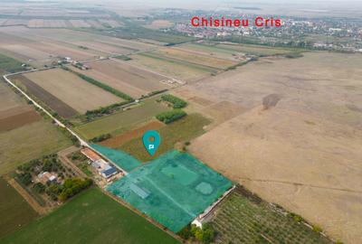 Teren 13.418 mp intravilan cu casă și 2 iazuri - 1