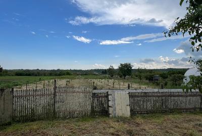 Vanzare Teren intravilan 4971 mp și Casă renovată complet exterior în 2024 - 8