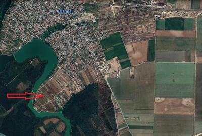 Intravilan, Branesti, 500mp, str. Violetelor, Lacul Pasarea, Padurea Cucu - 1