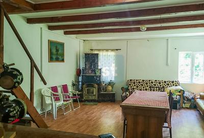 Casa de vacanta perfecta pe malul Cernei - 9