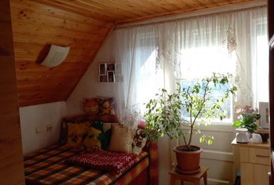 Casa cu 5.000 mp teren la E 60, zona Osorhei - 8
