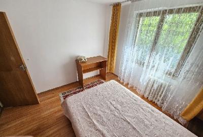 Dristor apartament 2 camere mobiliat si utilat - 5