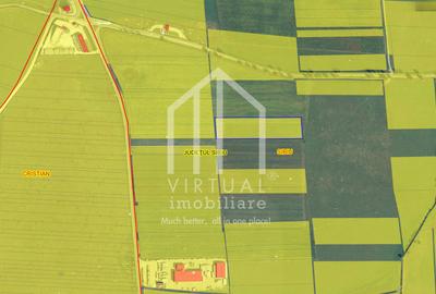 Black Friday! Teren intravila, 15600mp, zona Industrial Vest - 1