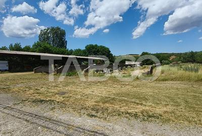 Platforma industriala cu cladiri de vanzare in Salistea de Alba - 14