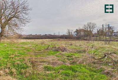 Proprietate industrială + Teren 8.632 - Voiteg - Județul Timiș - 25