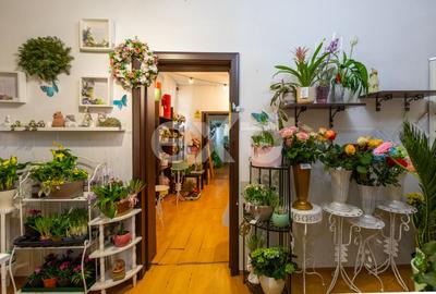 Spațiu comercial 146 mp de închiriat, strada Ioniță Sandu Sturza - 10