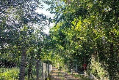 Teren  intravilan 5 arii, Platoul Cornesti ,str Padurii , Targu Mures - 9