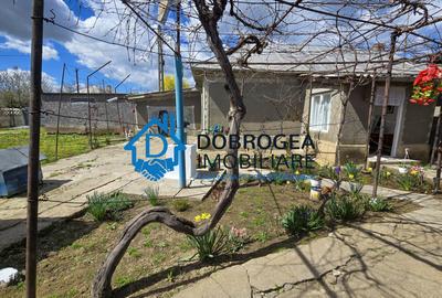 MIHAIL KOGALNICEANU-CASA BATRANEASCA ,TEREN 1975 MP - 2