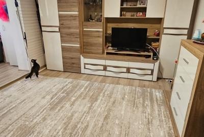 Apartament 2 camere decomandat 56mp - ETAJ 1 - Belvedere Nicolina - bloc 1986 - 6