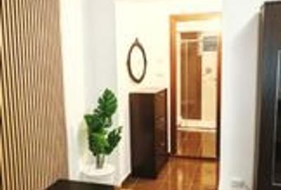 Baba Novac | Garsoniera | Metrou - 1