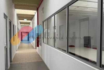 Spațiu industrial / birouri / hala - 1500 mp – Bd. Muncii, Cluj - 8