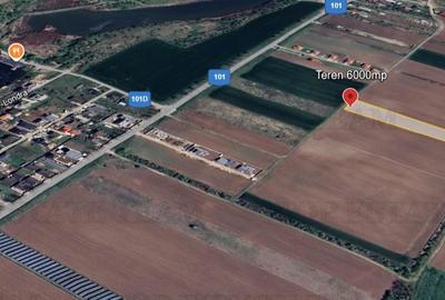 Teren Construcții intravilan de 6000 mp, în Moara Vlăsiei