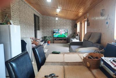 FARA COMISION casa 4 camere 2 bucatarii 2 puturi beci livada 1500mp SAU 3300mp - 32