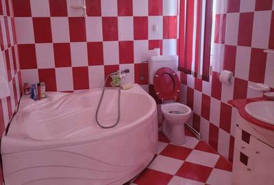 ViLA de LUX  cu un DESIGN deosebit in centrul orasului Nadlac - 19