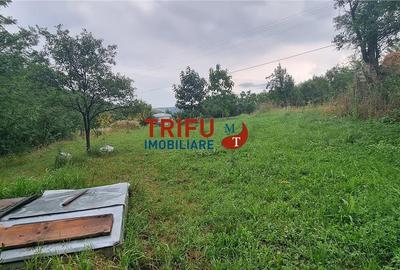 Teren Construcții intravilan de 1785 mp, în Ampoi 1