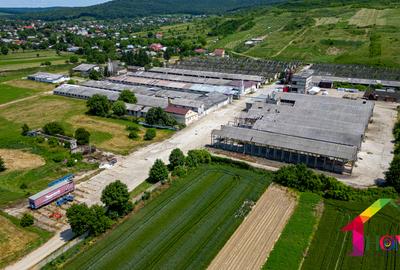Teren 100.000 mp + Spatii Industriale Bacau - 7