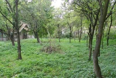 Casă de vânzare în Calnic, Alba - 12