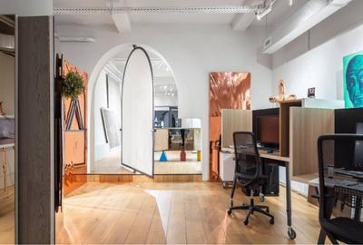 Spatiu Comercial Cismigiu - 17