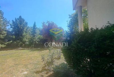 Herastrau, imobil de birouri de inchiriat, 545 mp utili - 11