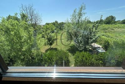 BELCIUGATELE- Casă de vacanță sau locuință permanentă - 33