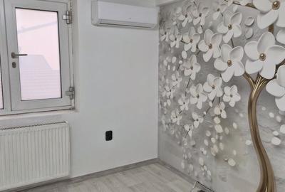 De vânzare Vilă individuala 11 camere curte proprie Parcul Carol - 34
